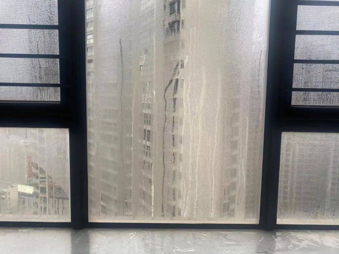 1709687604819935.jpeg 1.jpeg