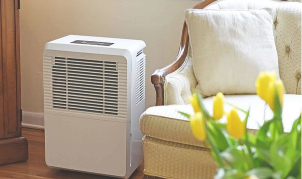 1709687673114582.jpg 2.jpg