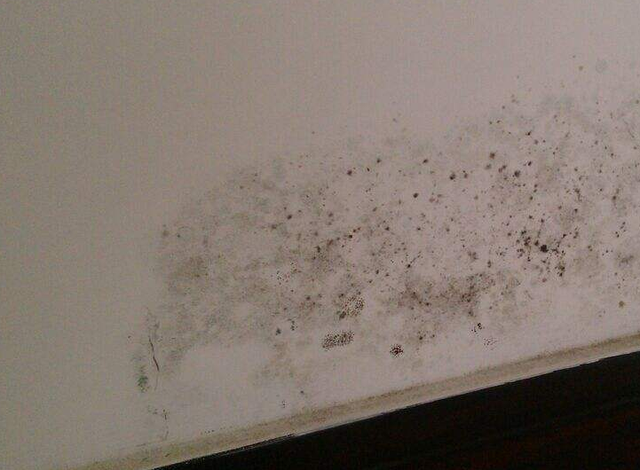 1709687703921100.png 3.png